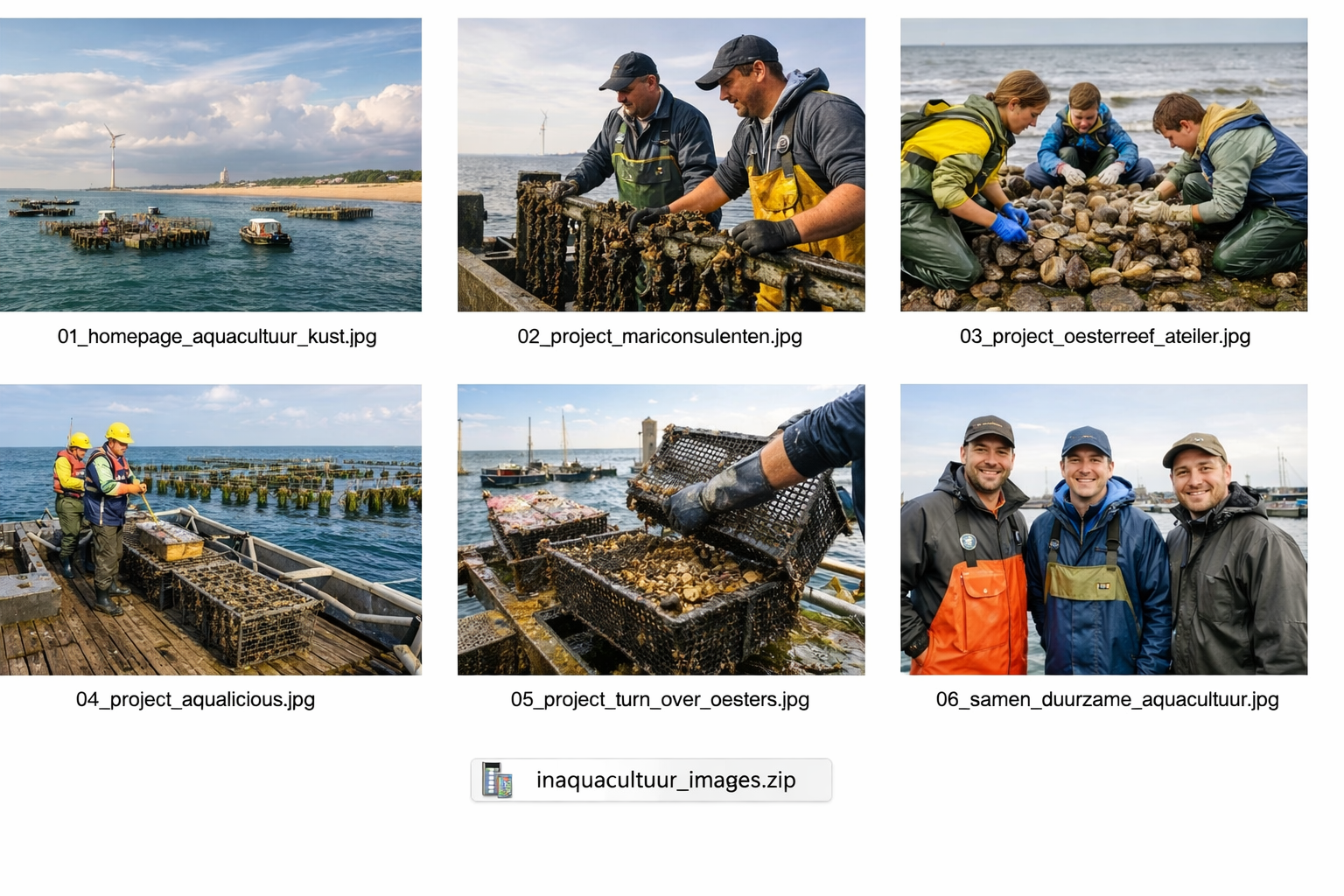 Illustratieve visual van mariene aquacultuur aan de kust